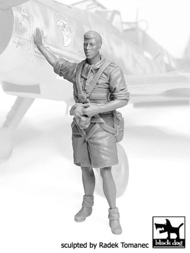 Blackdog f32071 luftwaffe - blackdog,