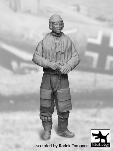German luftwaffe pilot - german,