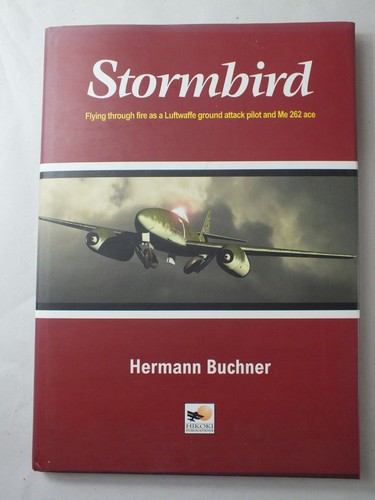 Stormbird flying through fire - stormbird:,