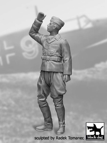 Blackdog f32041 luftwaffe - 1:32,