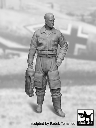 German luftwaffe pilot - luftwaffe,
