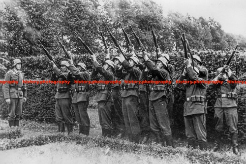 F029849 luftwaffe honor guard - f029849,